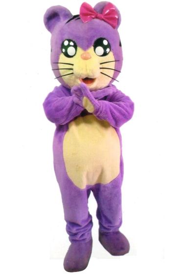 ขายMascot.และชุดแฟนซี​ พร้อมอุปกรณ์ รูปที่ 16