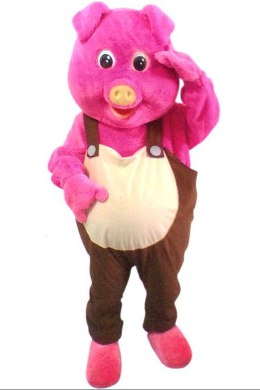 ขายMascot.และชุดแฟนซี​ พร้อมอุปกรณ์ รูปที่ 9