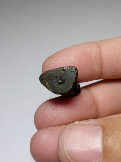 หลวงปู่ศุข รูปที่ 3