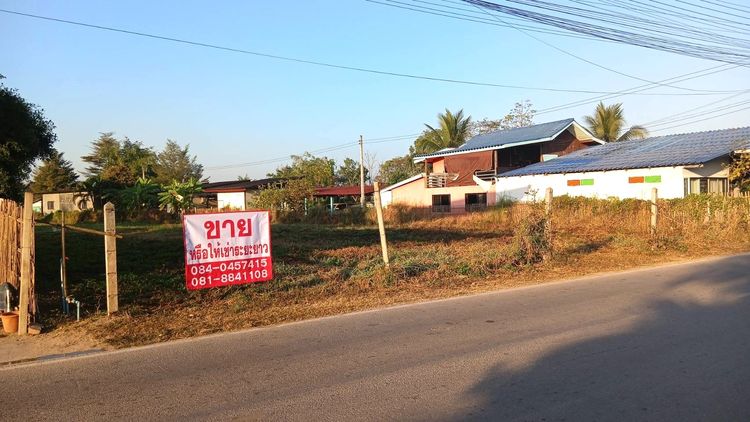  ขายให้เช่าระยะยาว ที่ดินทำเลทอง เมืองลำพูน ติดถนน ใกล้แหล่งชุมชน เจ้าของขายเอง ยินดีรับนายหน้าค่ะ  รูปที่ 2