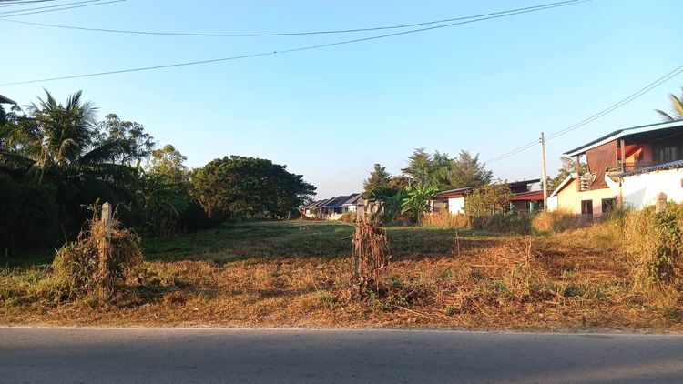  ขายให้เช่าระยะยาว ที่ดินทำเลทอง เมืองลำพูน ติดถนน ใกล้แหล่งชุมชน เจ้าของขายเอง ยินดีรับนายหน้าค่ะ  รูปที่ 3