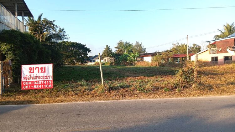  ขายให้เช่าระยะยาว ที่ดินทำเลทอง เมืองลำพูน ติดถนน ใกล้แหล่งชุมชน เจ้าของขายเอง ยินดีรับนายหน้าค่ะ 