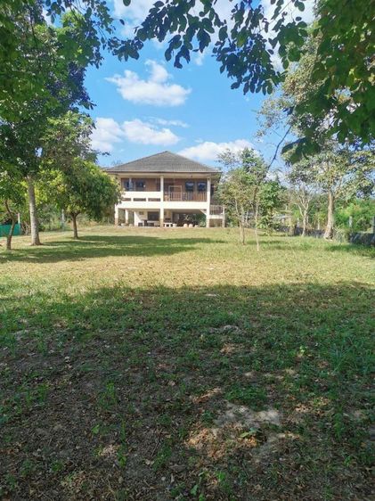 ใช่ บ้านพร้อมที่ดิน 1 ไร่ รูปที่ 3