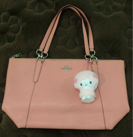 ไม่ระบุ ชมพู coach tote bag 17 inch