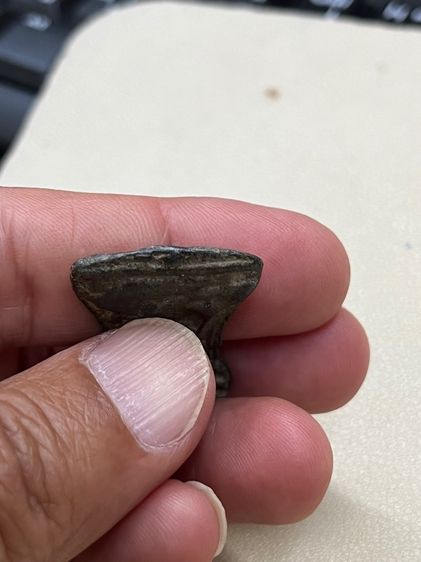 สายพระกรุครับ รูปที่ 8