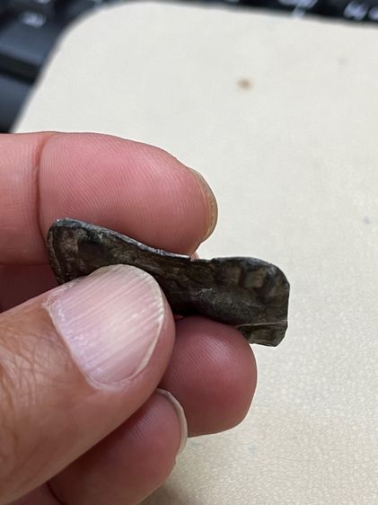 สายพระกรุครับ รูปที่ 7