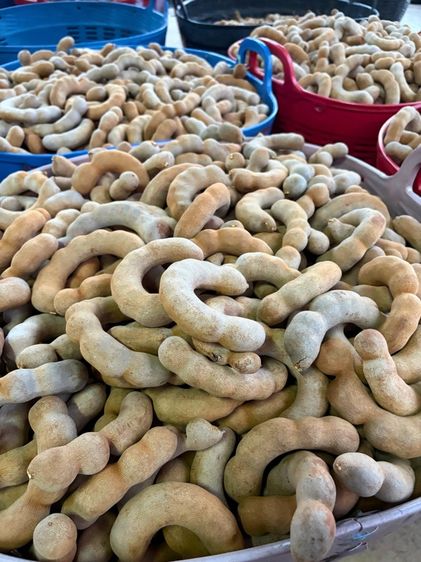 มะขามหวาน สีทอง สวนจากเพชรบูรณ์ รูปที่ 2