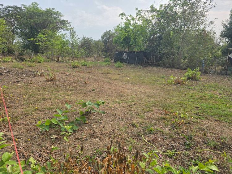 ขายที่ดินสันกำแพง มี 2 แปลง รวม 231 ตรว.  รูปที่ 4