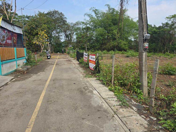 ขายที่ดินสันกำแพง มี 2 แปลง รวม 231 ตรว.  รูปที่ 3
