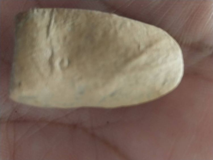 ให้เช่าพระ รูปที่ 14