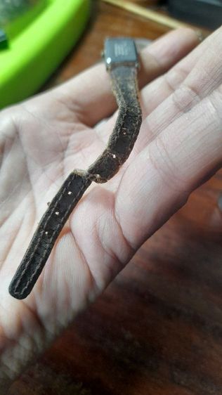 🟣✨️citizen watch . W ✨️🟣 รูปที่ 5