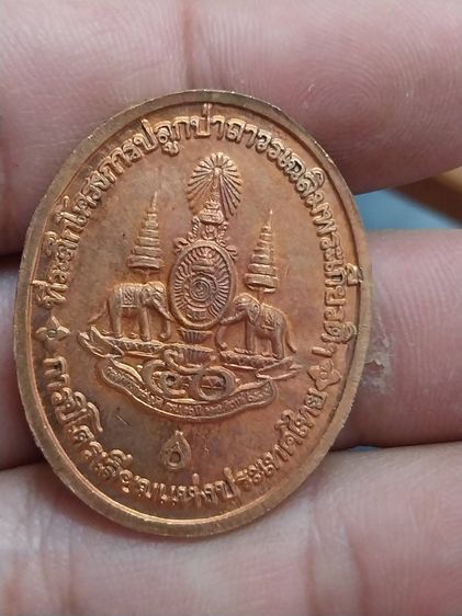 ให้เช่าพระ รูปที่ 11