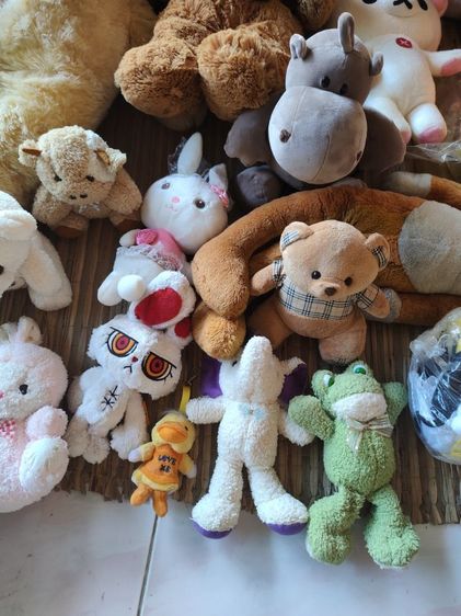 เหมาตุ๊กตาสภาพดี รูปที่ 7