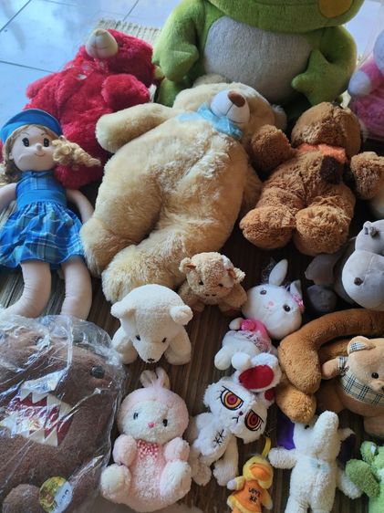 เหมาตุ๊กตาสภาพดี รูปที่ 8