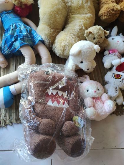 เหมาตุ๊กตาสภาพดี รูปที่ 4