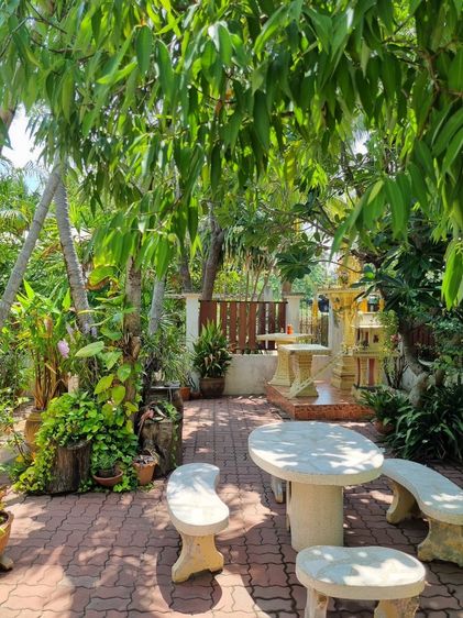 ไม่มี ขายบ้าน2ชั้น ตะพานหิน พิจิตร 3นอน2น้ำ ฮวงจุ้ยดี ไม่ท่วม ร่มรื่น (มีที่ดินแยกขาย) รูปที่ 4