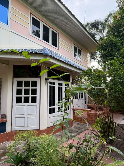 ขายบ้าน2ชั้น ตะพานหิน พิจิตร 3นอน2น้ำ ฮวงจุ้ยดี ไม่ท่วม ร่มรื่น (มีที่ดินแยกขาย)