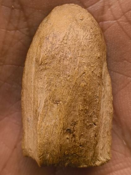 พระกรุเนื้อดิน รูปที่ 2