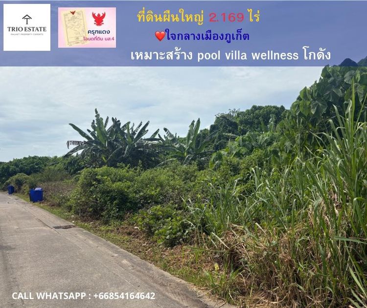 ที่ดินสวย 2 ไร่ 169 ตารางวา ทำเลตำบลวิชิต เมืองภูเก็ต
