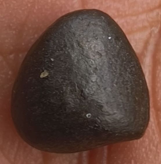 พระรูปหล่อพลวงพ่อเงินเนื้อเก่า รูปที่ 12