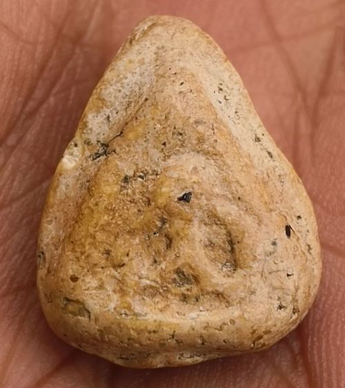 พระรูปหล่อพลวงพ่อเงินเนื้อเก่า รูปที่ 9