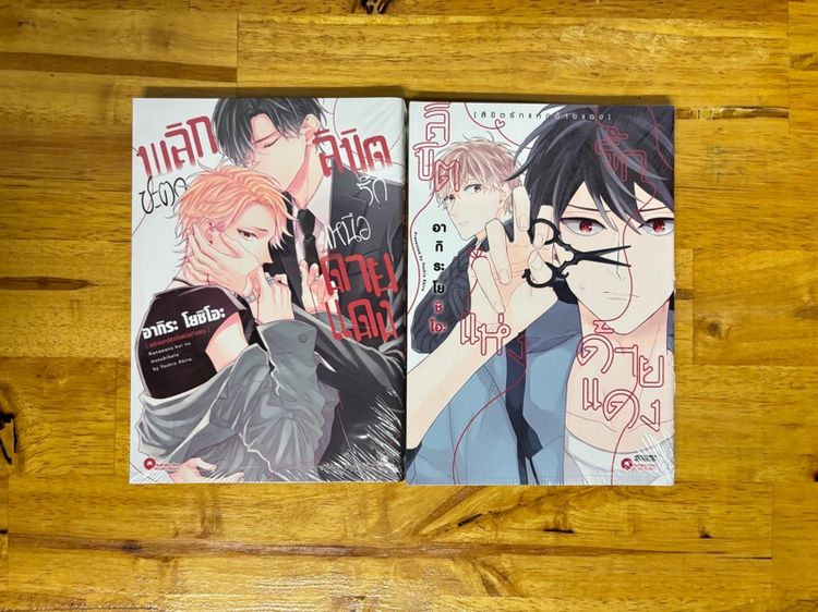 ลิขิตรักแห่งด้ายแดง