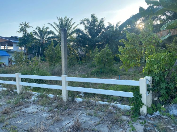 ที่ดินมีรายได้ ทำเลอนาคต ตรงข้ามโลตัสเวียงสระ 5 ไร่ 30 ตารางวา  รูปที่ 4