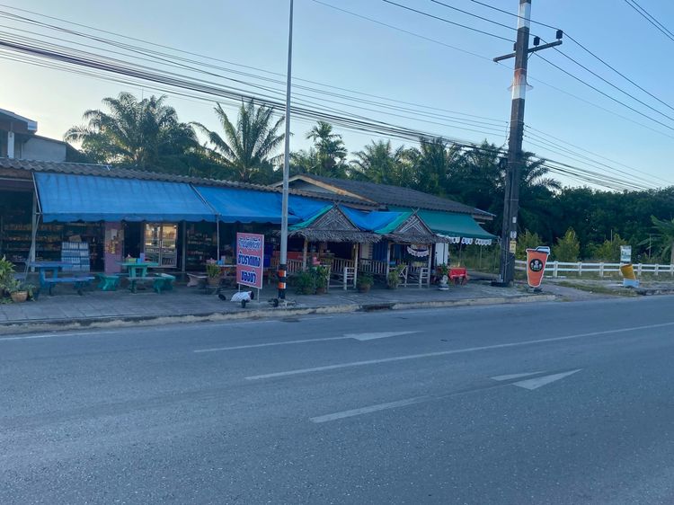 ที่ดินมีรายได้ ทำเลอนาคต ตรงข้ามโลตัสเวียงสระ 5 ไร่ 30 ตารางวา  รูปที่ 3