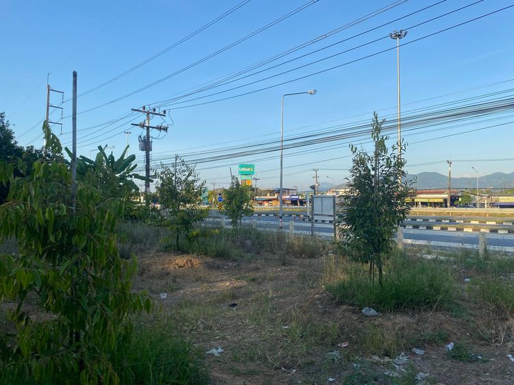 ที่ดินมีรายได้ ทำเลอนาคต ตรงข้ามโลตัสเวียงสระ 5 ไร่ 30 ตารางวา 