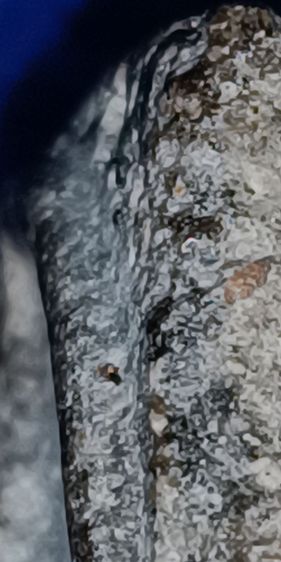 พระสมเด็จวัดระฆัง รูปที่ 17