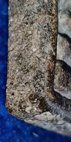 พระสมเด็จวัดระฆัง รูปที่ 10