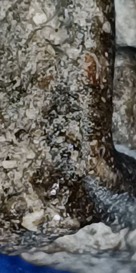 พระสมเด็จวัดระฆัง รูปที่ 14