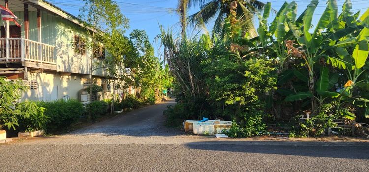 ที่ดิน หัวมุม 55.2 ตารางวา โฉนดครุฑแดง รูปที่ 2