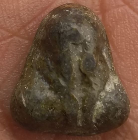 พระผงเนื้อวานหลวงปู่ทวด รูปที่ 7