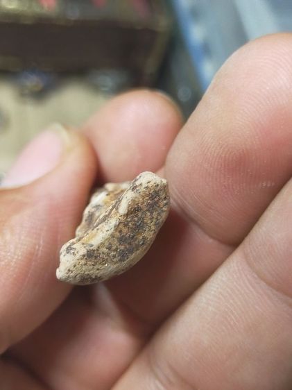 พระผงสุพรรณเก่า รูปที่ 3