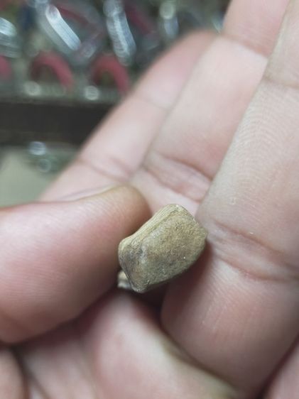 พระรอดกรุมหาวันเก่า รูปที่ 3