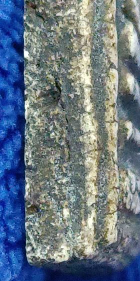 พระสมเด็จวัดระฆัง รูปที่ 10