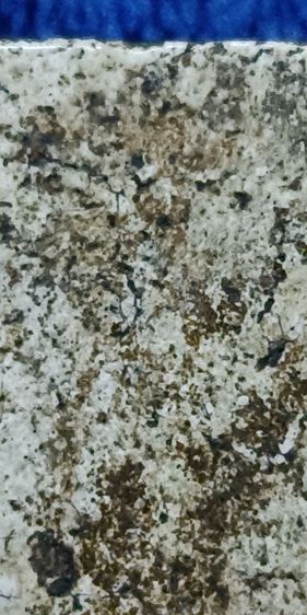 พระสมเด็จวัดระฆัง รูปที่ 8