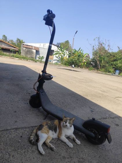 สกูตเตอร์ไฟฟ้า E2Plus สภาพดี รูปที่ 2