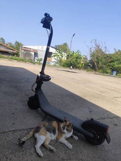 สกูตเตอร์ไฟฟ้า E2Plus สภาพดี รูปที่ 3