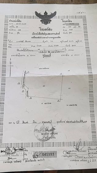 สวนปาล์ม รูปที่ 4