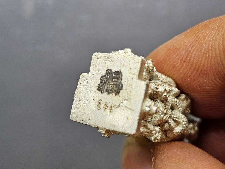 รูปหล่อเจ้าพ่อเสือ ตั่วเหล่าเอี๊ย เนื้อเงิน รุ่น "โชคดี รับทรัพย์ เงินไหลมา วัดจีนประชาสโมสร (เล่งฮกยี่) ปี 2553 รูปที่ 10