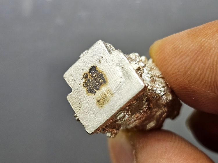 รูปหล่อเจ้าพ่อเสือ ตั่วเหล่าเอี๊ย เนื้อเงิน รุ่น "โชคดี รับทรัพย์ เงินไหลมา วัดจีนประชาสโมสร (เล่งฮกยี่) ปี 2553 รูปที่ 6