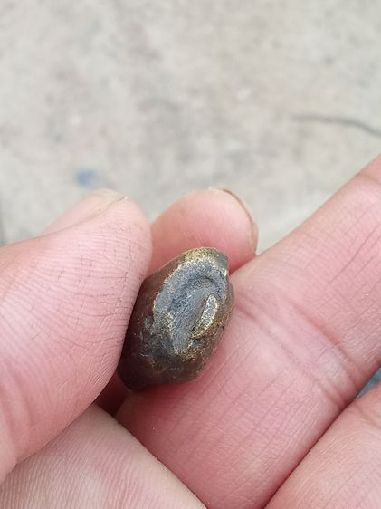 รูปหล่อพระคง เนื้อทองผสมหลวงพ่อโบ้ยวัดมะนาว สุพรรณบุรี รูปที่ 5