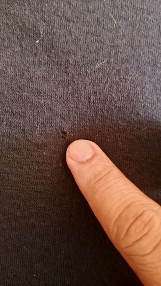 เสื้อวงดนตรี Deftones สภาพใหม่  ปี2022 ตำหนิมีรูมด1จุดกลางหลัง รูปที่ 4