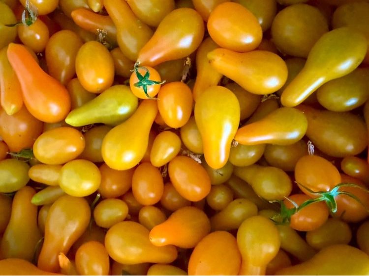 มะเขือเทศลูกแพร 200 กรัม