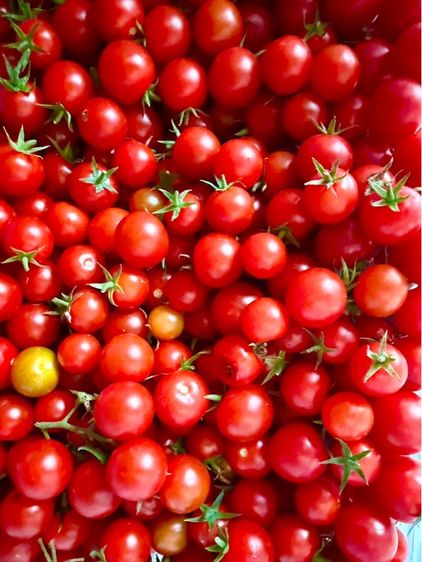 มะเขือเทศเชอรี่ 200 กรัม