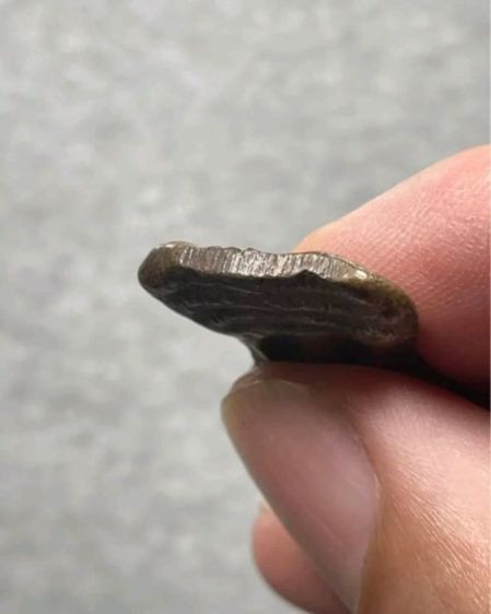 มเหศวรหลวงพ่อโบ้ยวัดมะนาว รูปที่ 5