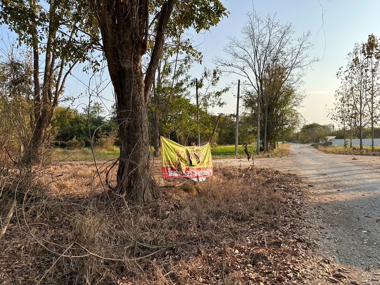 ขายที่ดินเปล่า ใกล้เทศบาลห้วยทราย สันกำแพง เชียงใหม่  รูปที่ 2