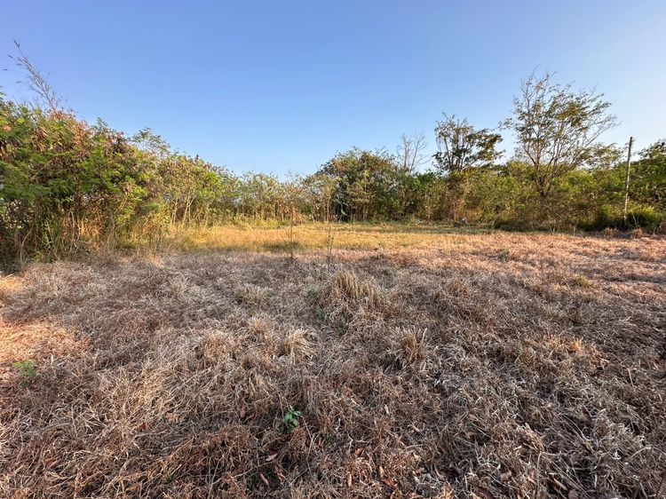 ขายที่ดินเปล่า ใกล้เทศบาลห้วยทราย สันกำแพง เชียงใหม่  รูปที่ 4